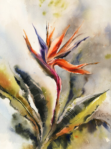 Bird of Paradise de Sophia Rodionov, Pintura a la venta en Singulart