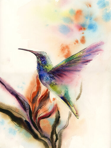Hummingbird by Sophia Rodionov, Work on Paper for Sale on Singulart