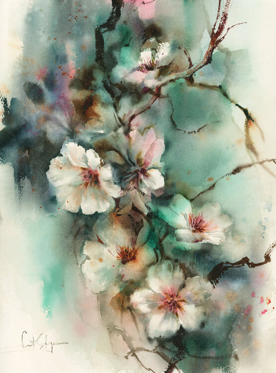 Almonds Blooming Flowers Sophia Rodionov