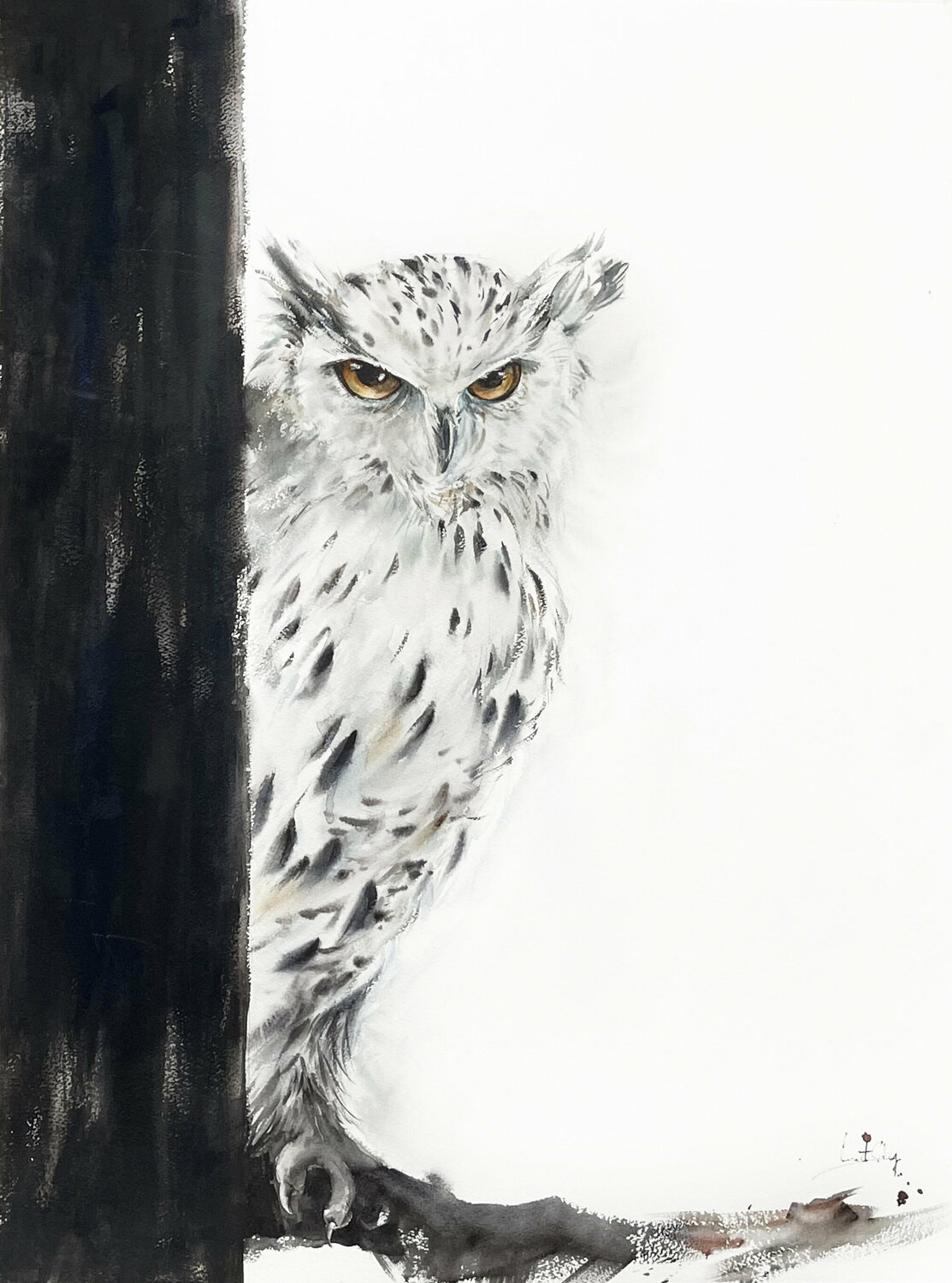 White Owl Sophia Rodionov