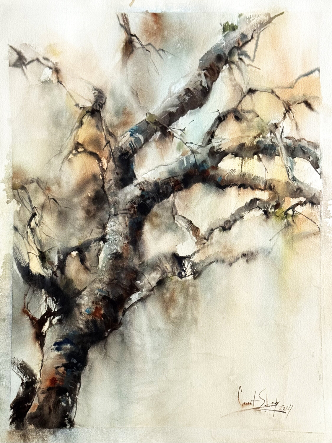 Rainy Woods Sophia Rodionov