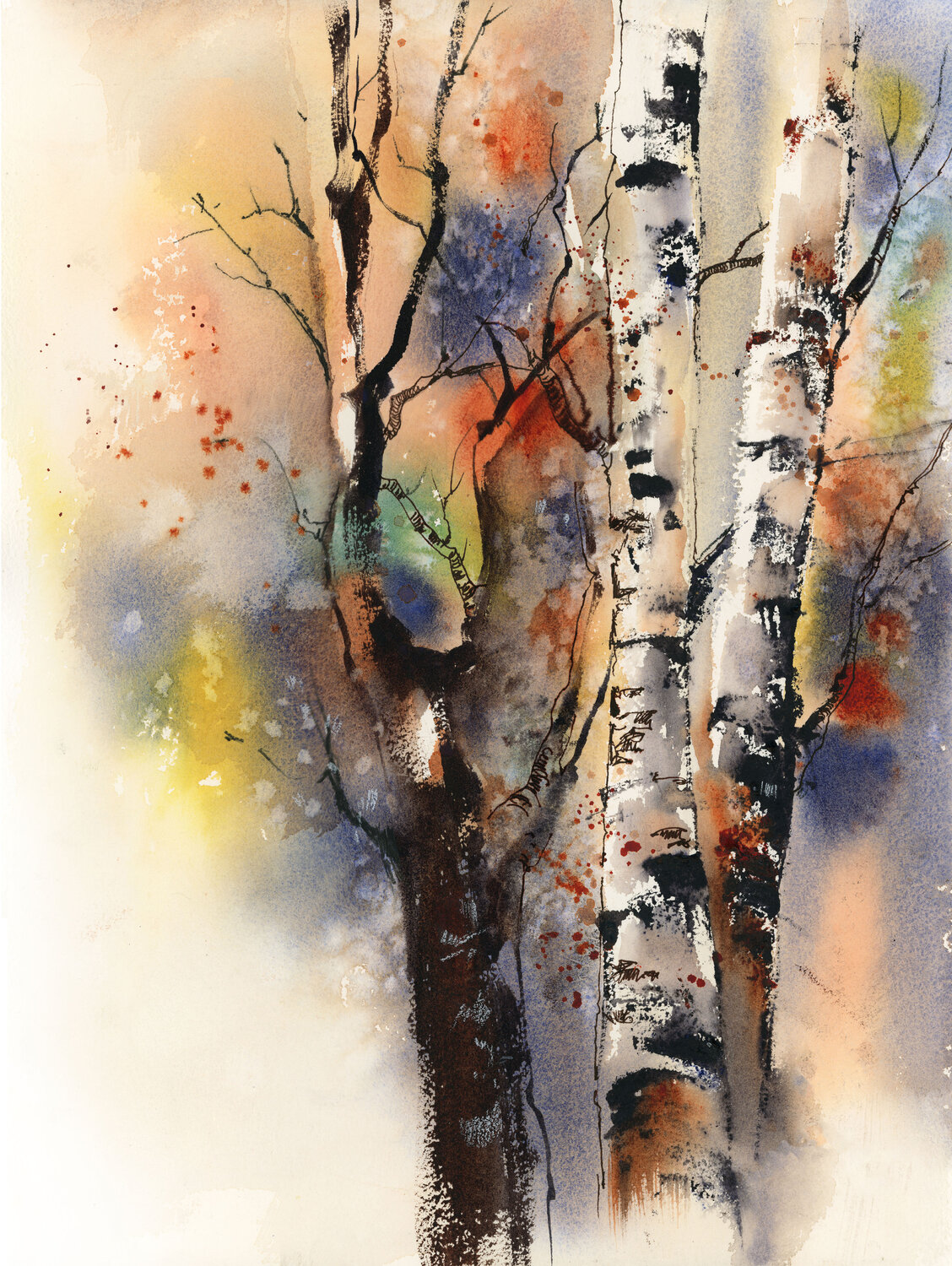 Birch Trees Sophia Rodionov
