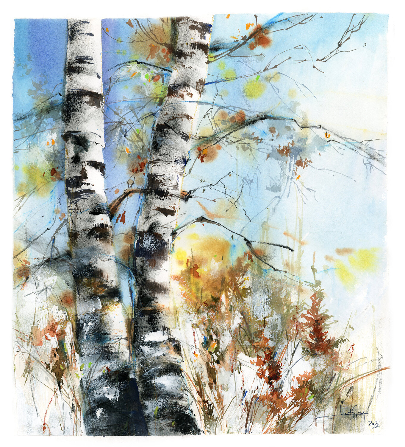 Birch Trees Sophia Rodionov