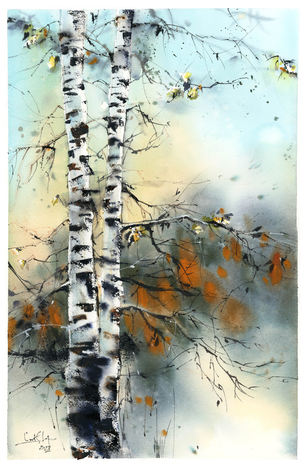 Birch Trees Sophia Rodionov