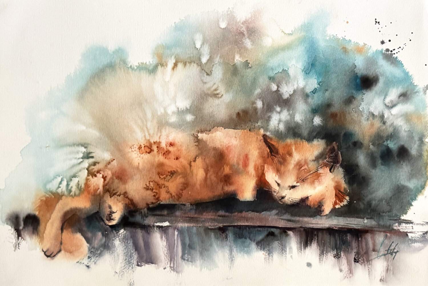 Sleeping Cat Sophia Rodionov