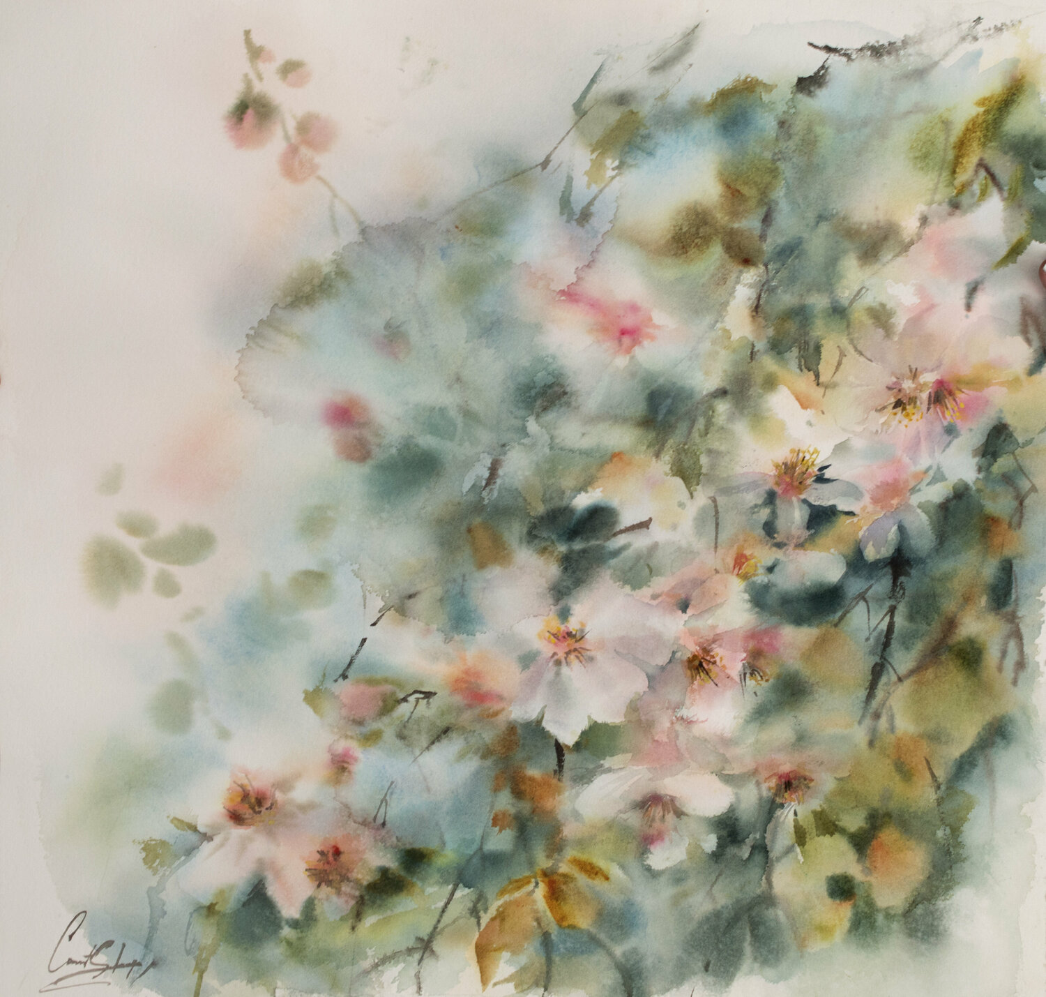 Almond Bloom Sophia Rodionov