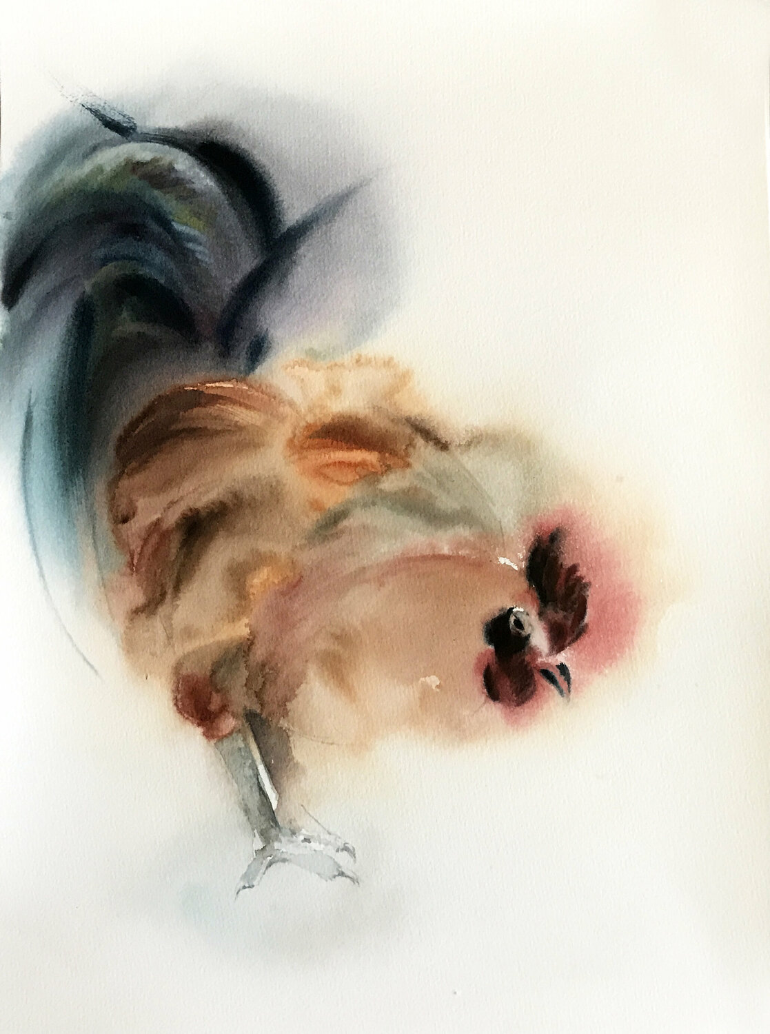 The Rooster Sophia Rodionov