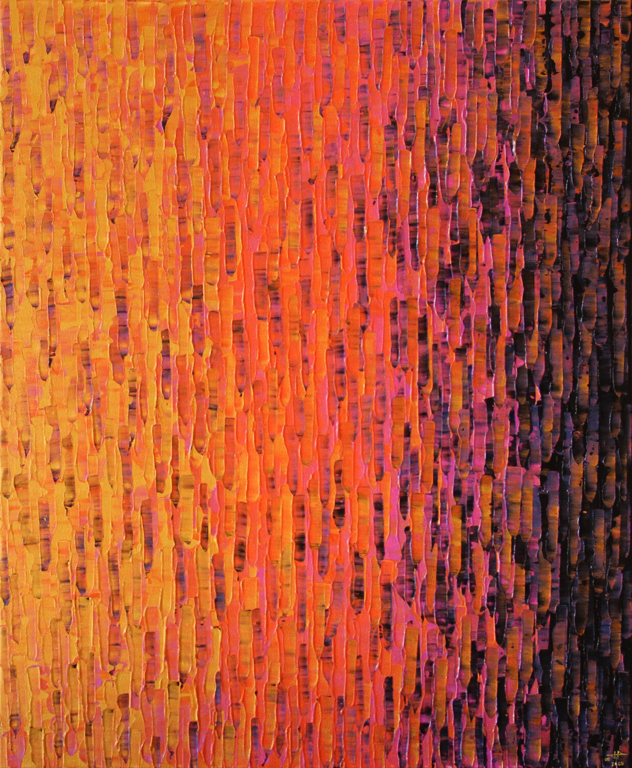 Dégradé or orange rose Jonathan Pradillon