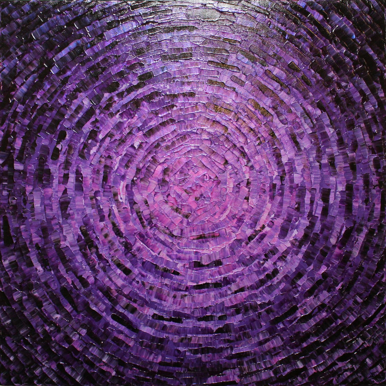 Éclat de couleur violet Jonathan Pradillon