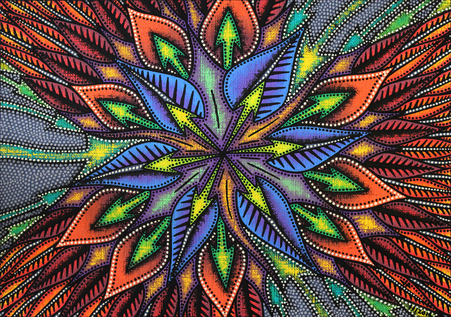 Orchidée Jonathan Pradillon