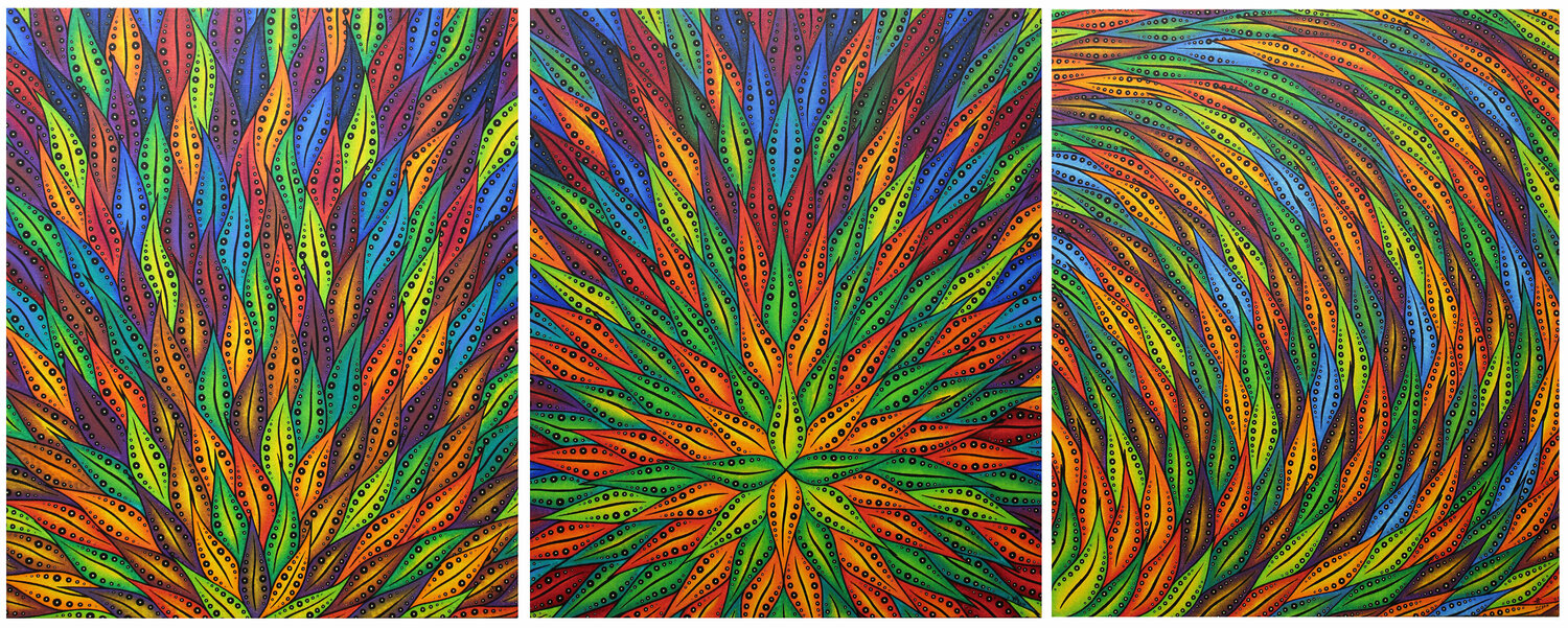 Mouvements couleurs flamboyantes Jonathan Pradillon