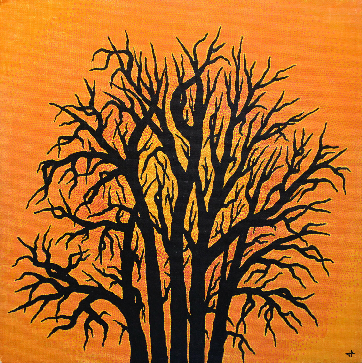 Coucher de Soleil Jonathan Pradillon