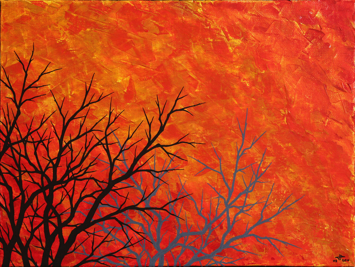 Ciel flamboyant Jonathan Pradillon
