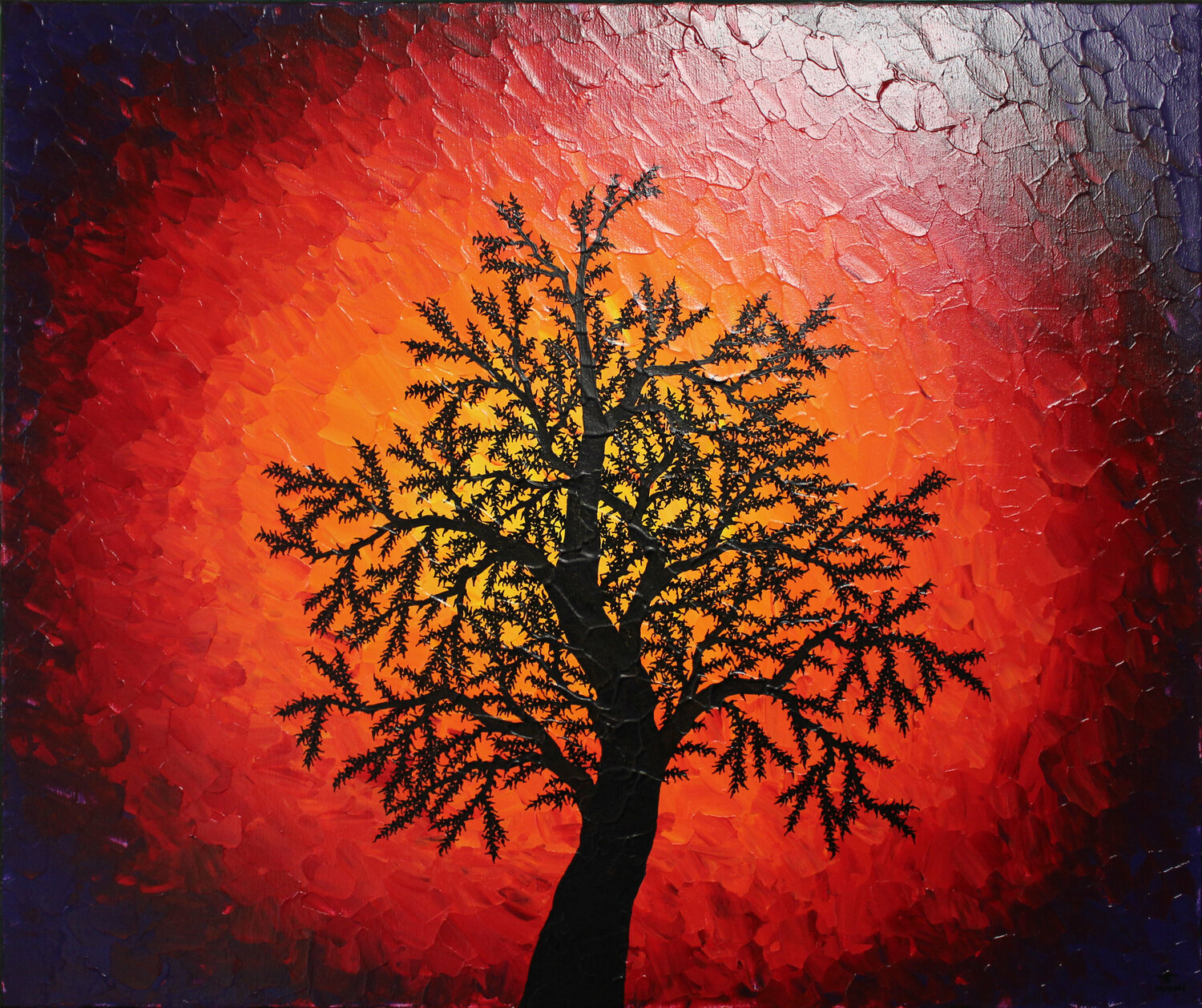 Silhouette d’arbre de nuit Jonathan Pradillon