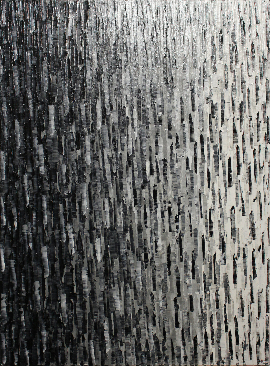 Fondu noir blanc Jonathan Pradillon
