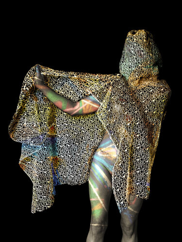 Magic Lace van Georges Dumas, Schilderij te koop op Singulart