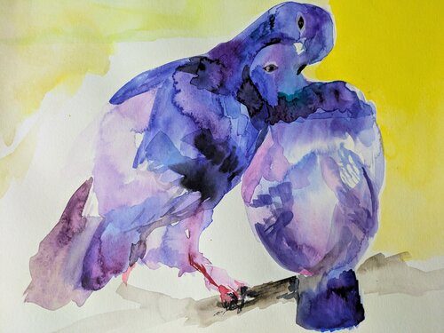 Spring of pigeons von Ana Asavei Pietraru, Werk auf Papier kaufen auf Singulart
