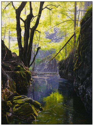 The gorge of the Great White Water in the Slovak Paradise von Emil Mlynárčik, Malerei kaufen auf Singulart
