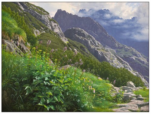 Tatra valleys - summer flora of the Great Cold Valley van Emil Mlynárčik, Schilderij te koop op Singulart