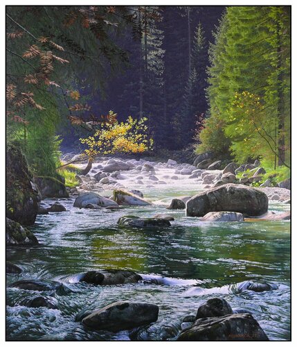 A quiet corner of the White Water mountain stream di Emil Mlynárčik, Pittura in vendita su Singulart