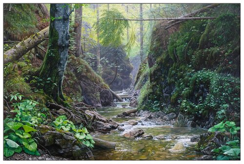 Gorges of the Slovak Paradise - Suchá bela Emil Mlynárčik