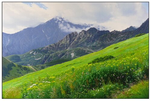 Summer mountain meadows in the High Tatras Emil Mlynárčik