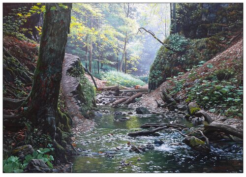 Velky Sokol Gorge in Slovak Paradise van Emil Mlynárčik, Schilderij te koop op Singulart