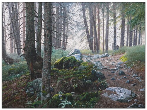 Tatra trails - spruce forest above Plesnivec cottage Emil Mlynárčik