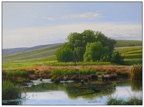 On the edge of the pond Emil Mlynárčik