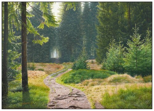 Tatra trails - through the spruce forest to the mountains par Emil Mlynárčik, Peinture en vente sur Singulart