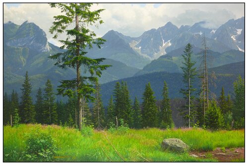At the beginning of summer in the foothills of the Tatras van Emil Mlynárčik, Schilderij te koop op Singulart