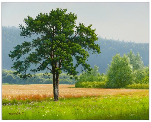 Pine tree Emil Mlynárčik