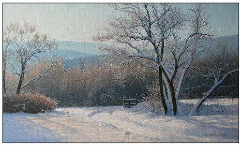 Imprint in the snow van Emil Mlynárčik, Schilderij te koop op Singulart