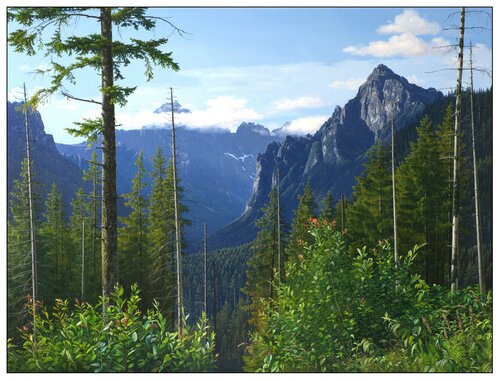 Transformations of the Tatra forest van Emil Mlynárčik, Schilderij te koop op Singulart
