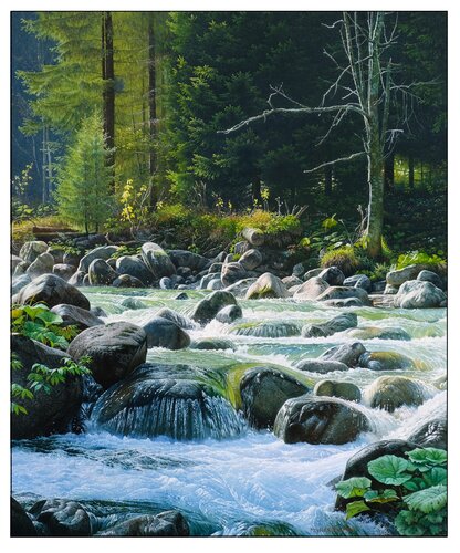 Forms of a mountain stream van Emil Mlynárčik, Schilderij te koop op Singulart