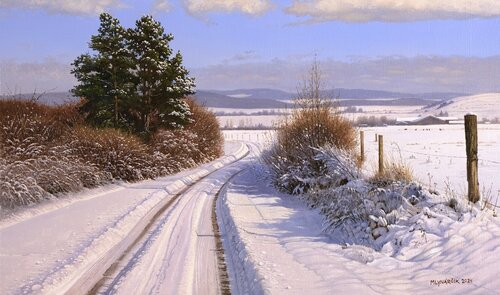 The morning after the first snowfall van Emil Mlynárčik, Schilderij te koop op Singulart