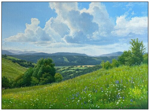 Meadows of early summer van Emil Mlynárčik, Schilderij te koop op Singulart