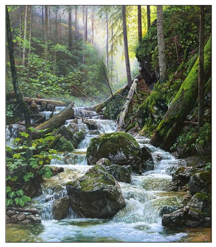 Wild stream in Sokol Valley by Emil Mlynárčik, Painting for Sale on Singulart