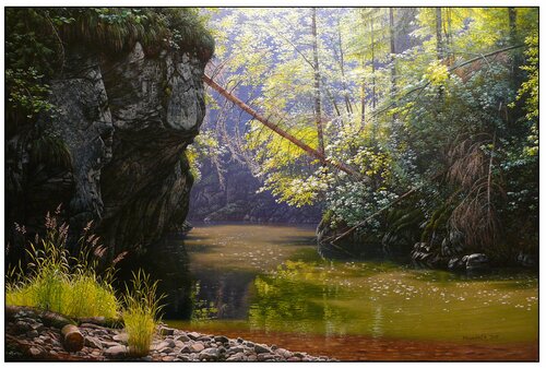 Sunny moment in the dark corner of the Hornád River van Emil Mlynárčik, Schilderij te koop op Singulart
