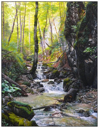 Form of the Paradise -the mountain stream in the Sokolia valley van Emil Mlynárčik, Schilderij te koop op Singulart