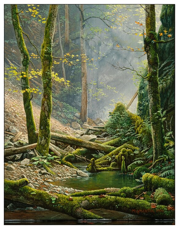Old Maples Emil Mlynárčik