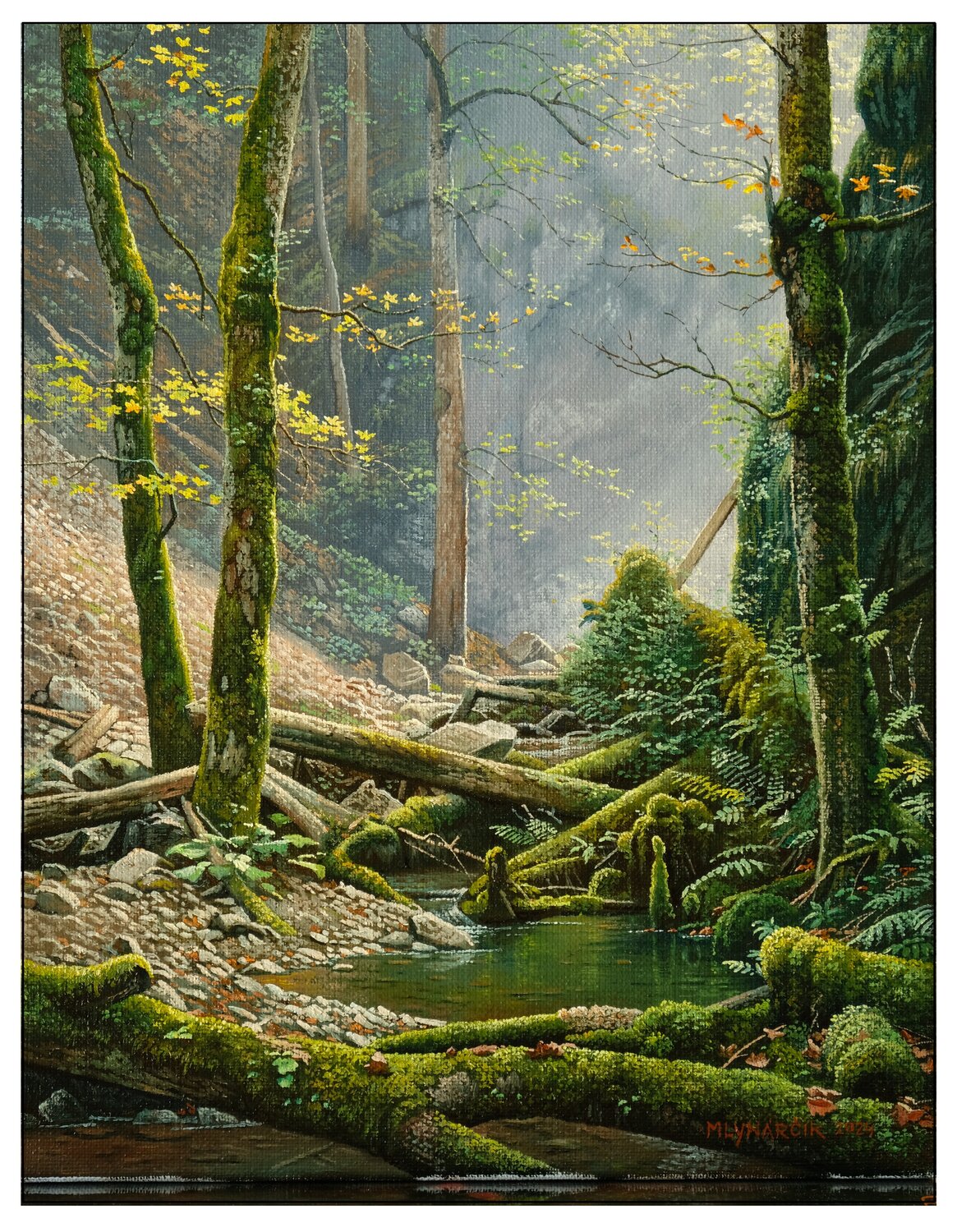 Old Maples Emil Mlynárčik
