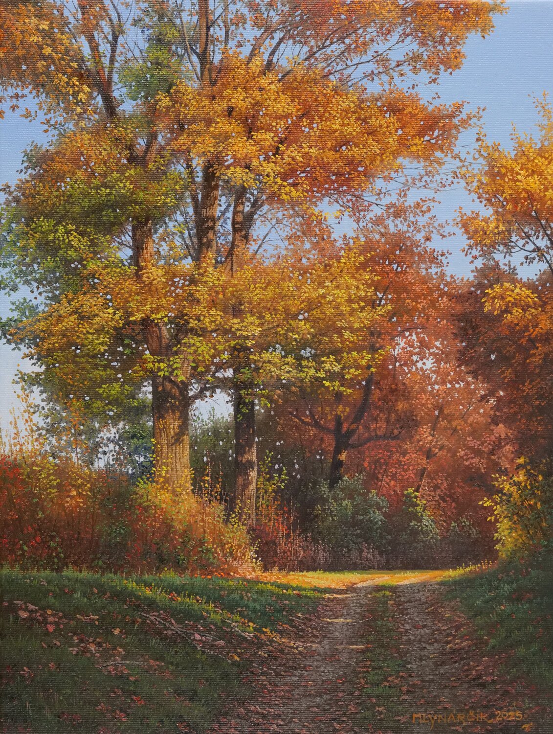 Color changes Emil Mlynárčik