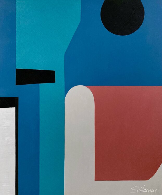 Soft geometry I Sylvie Hamou