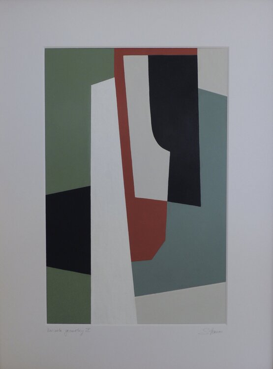 Variable geometry Sylvie Hamou
