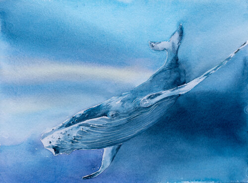 Sonar Yuriy Kraft