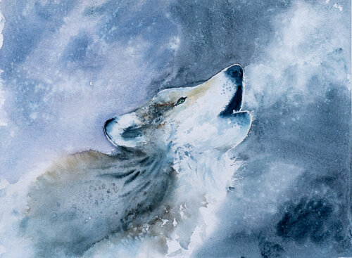 The call of the Taiga Yuriy Kraft