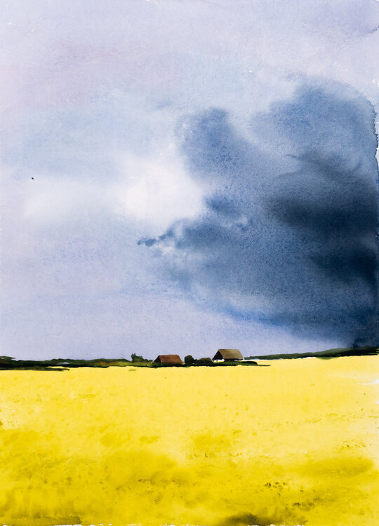***Ukrain fields*** Yuriy Kraft