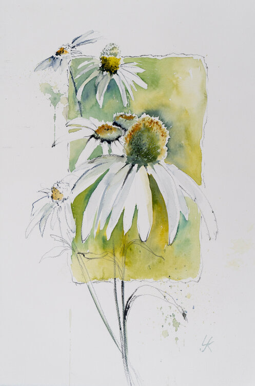 Flowers comp II Yuriy Kraft
