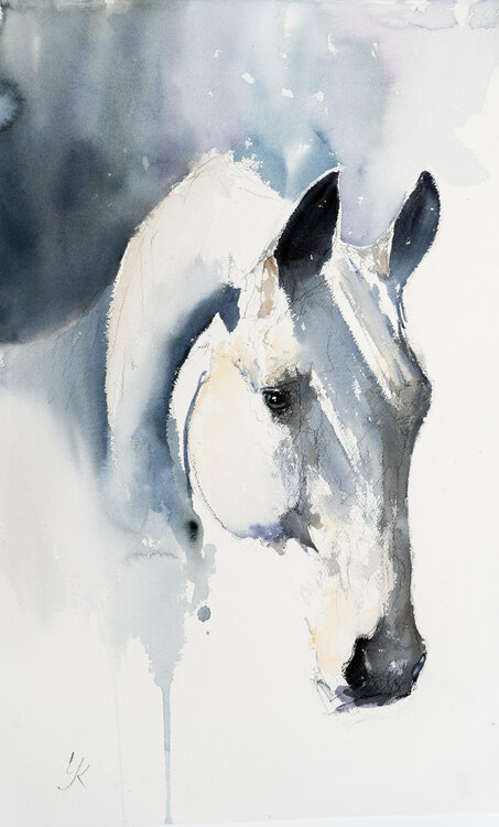 Paladin Yuriy Kraft